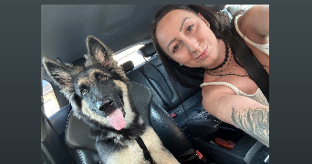 marie pet sitter à LABASTIDE ST SERNIN 31620_0