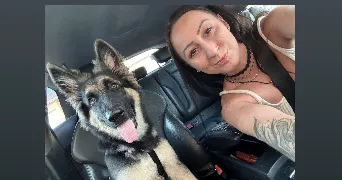 marie pet sitter à LABASTIDE ST SERNIN 31620