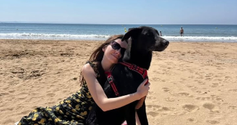 emilie pet sitter à PLOUMAGOAR 22970_2