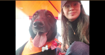 camila pet sitter à ORLEANS 45100_2