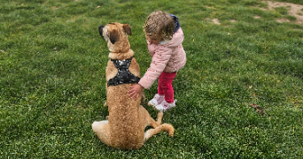 marlene pet sitter à AUNEAU BLEURY ST SYMPHORIEN 28700_38