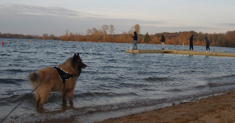 alicia pet sitter à POITIERS 86000_3