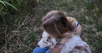 rose pet sitter à NEUILLY SUR SEINE 92200_2