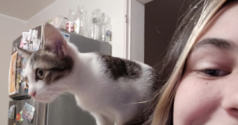 suzanne pet sitter à THIAIS 94320_6