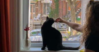 kellie pet sitter à Annecy 74940_3