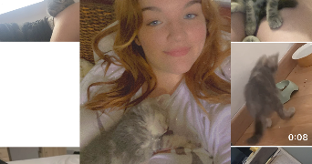 maia pet sitter à HAILLICOURT 62940_0