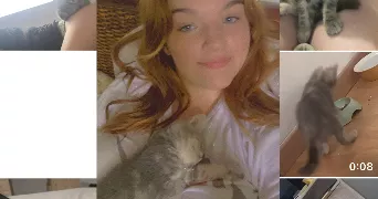 maia pet sitter à HAILLICOURT 62940