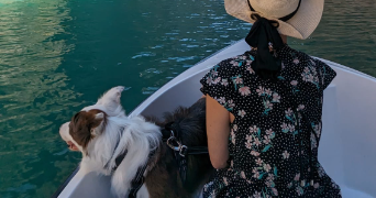 claire pet sitter à ST AVOLD 57500_2