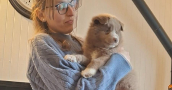 morgane pet sitter à LIGNAN DE BAZAS 33430_1