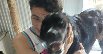 emilien pet sitter à TOULOUSE 31000_1