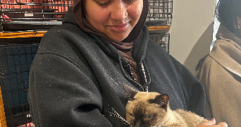 amira asma pet sitter à NOISY LE GRAND 93160_1