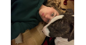 rose pet sitter à ROUEN 76000_5