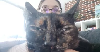 camille cat sitter à LYON 07 69007