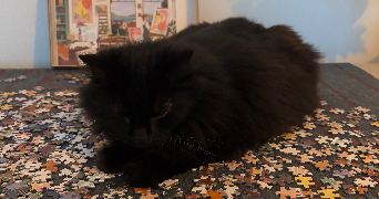natacha pet sitter à BUSSY ST GEORGES 77600_1