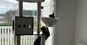 camille pet sitter à Saint Vincent de Tyrosse 40230_5