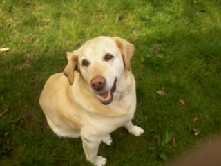 catherine pet sitter à Auray 56400_4