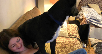 briony pet sitter à ANGOULEME 16000_1