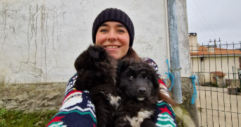 diana dog sitter à POISSY 78300_1