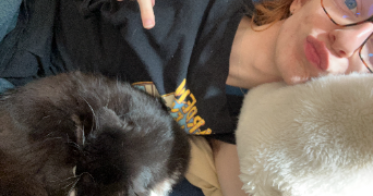 noa pet sitter à NANTES 44300_2