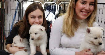 ilona pet sitter à Paris 75019_1