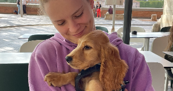 maïlys pet sitter à TOULOUSE 31300_2