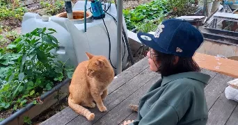 lino pet sitter à PARIS 10 75010