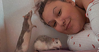tahissia pet sitter à LA BOISSIERE DE MONTAIGU 85600_2