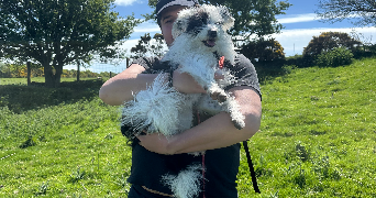 clara pet sitter à Avignon 84000_4