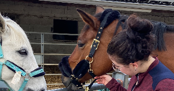 espérance pet sitter à Haute-goulaine 44115_3