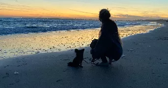 maddy pet sitter à LUCON 85400