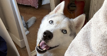 camille pet sitter à BORDEAUX 33000_9