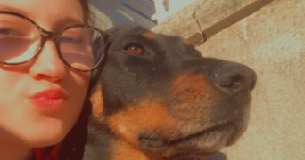 oceane pet sitter à LANESTER 56600_2