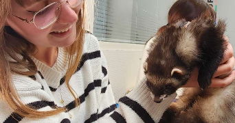 laura pet sitter à PAGNY LES GOIN 57420_2