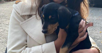 jade pet sitter à VILLEBEON 77710_0