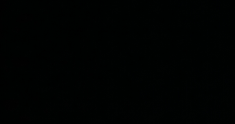 salomon pet sitter à COMBS LA VILLE 77380_0