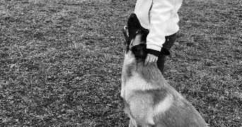 léane pet sitter à COUDES 63114_4