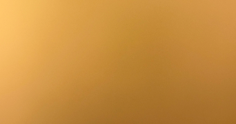 tess dog sitter à Uzerche 19140_0