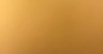 tess dog sitter à Uzerche 19140