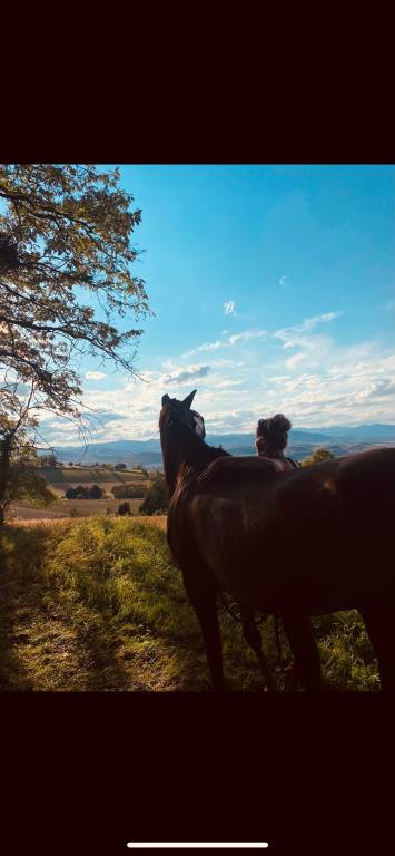 Audrey pet sitter à Vic-le-Comte 63270_0