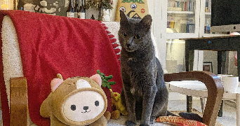 séverine pet sitter à TOULOUSE 31000_5