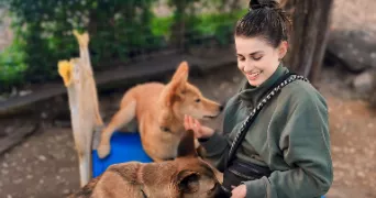 lucie pet sitter à CAEN 14000