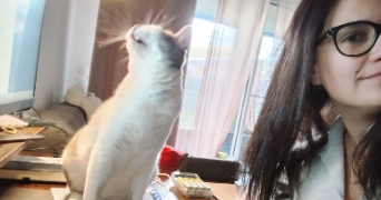 neila pet sitter à CASTELNAU LE LEZ 34170_3