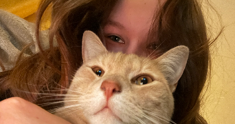 noah pet sitter à LINGREVILLE 50660_1