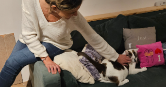 aurélie pet sitter à Nuzéjouls 46150_9