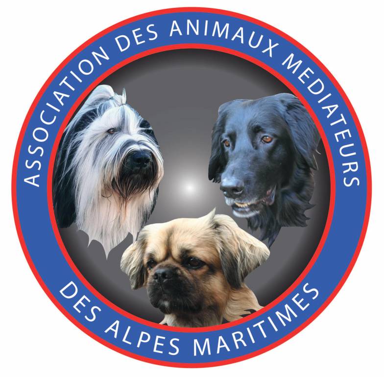 Marylise pet sitter à Régusse 83630