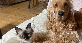 morgane pet sitter à PERIGUEUX 24000_3