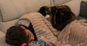maiwenn pet sitter à ST JEAN LE BLANC 45650_5