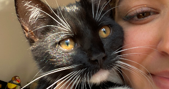 louise pet sitter à TOUSSUS LE NOBLE 78117_4