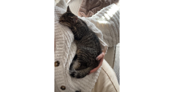 elise pet sitter à DOMPIERRE SUR MER 17139_1