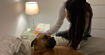 angelina pet sitter à AGDE 34300_0